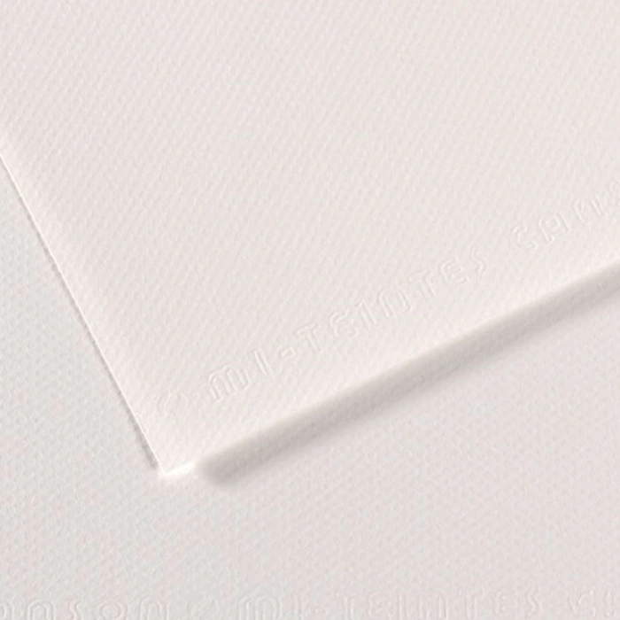 Canson Fon Kartonu (Dokulu) Mı-Teıntes 50x65 160 GR Whıt 335