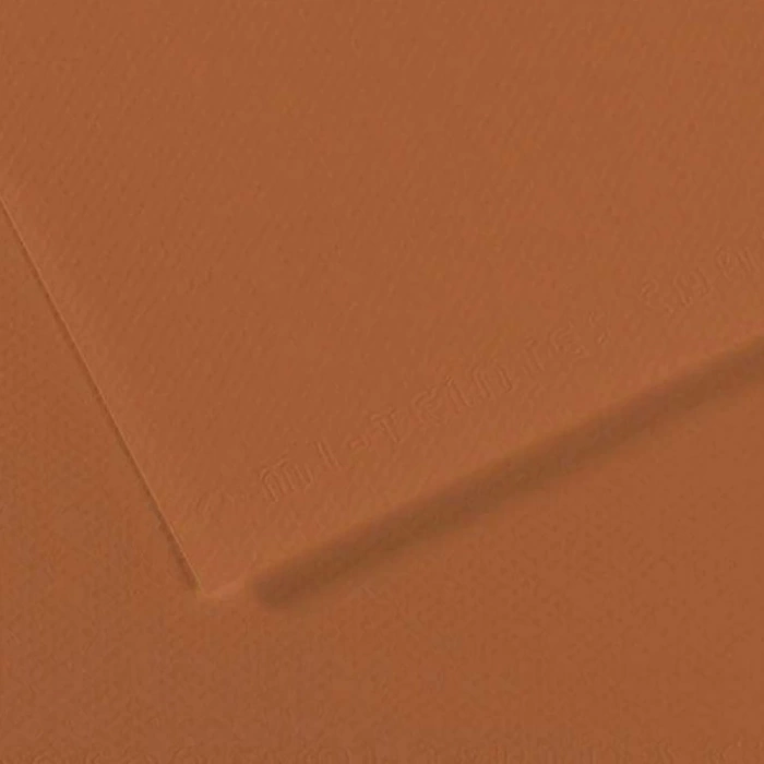 Canson Fon Kartonu (Dokulu) Mı-Teıntes Sh Canmt 50x65 160 GR Brown 187