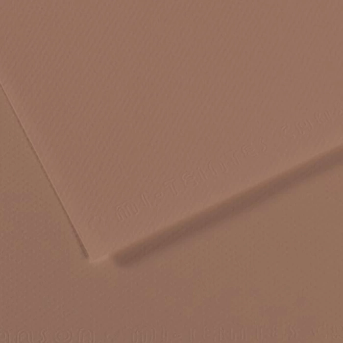 Canson Fon Kartonu (Dokulu) Mı-Teıntes Sh Canmt 50x65 160 GR Brown 188