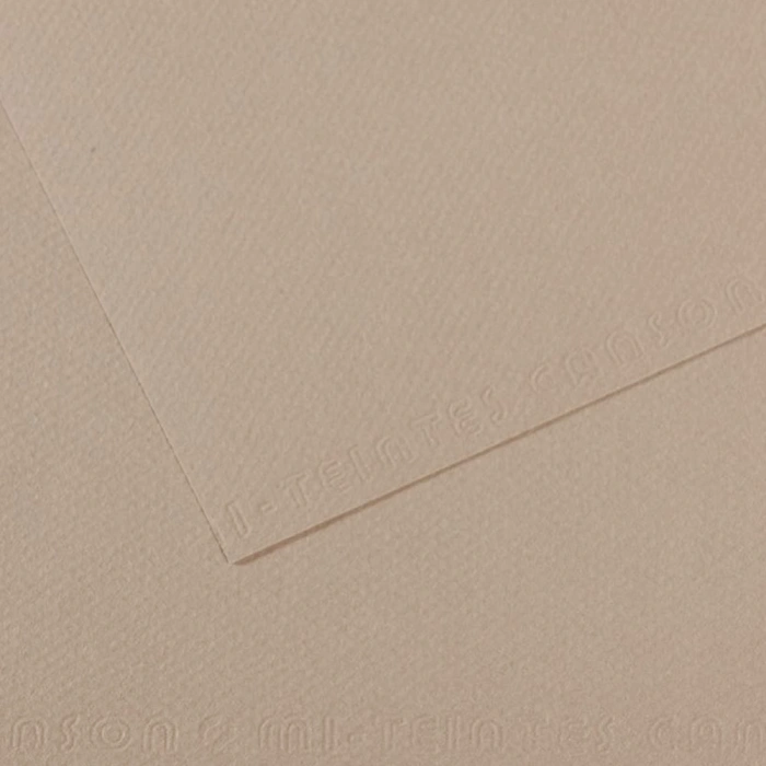 Canson Fon Kartonu (dokulu) Mı-teıntes Sh Canmt 50x65 160 Gr Grey 122