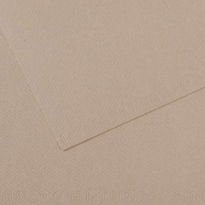 Canson Fon Kartonu (Dokulu) Mı-Teıntes Sh Canmt 50x65 160 GR Grey 122