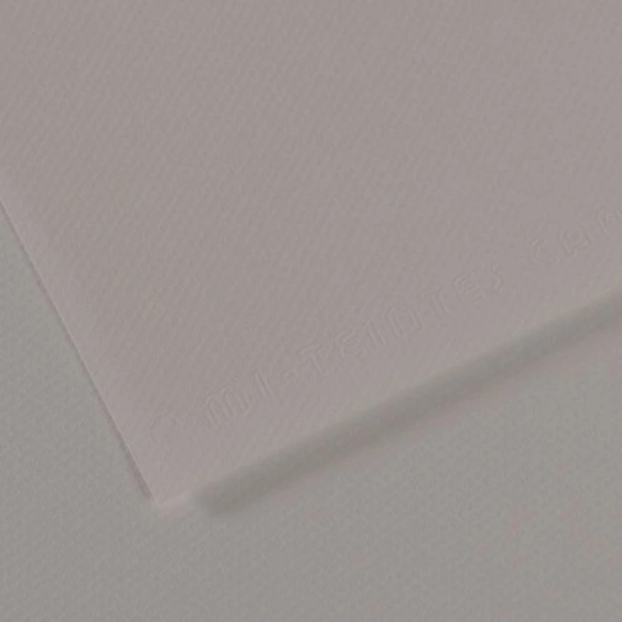 Canson Fon Kartonu (dokulu) Mı-teıntes Sh Canmt 50x65 160 Gr Grey 186