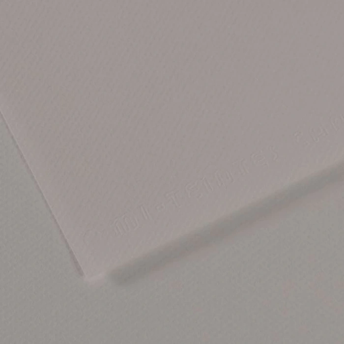 Canson Fon Kartonu (Dokulu) Mı-Teıntes Sh Canmt 50x65 160 GR Grey 186