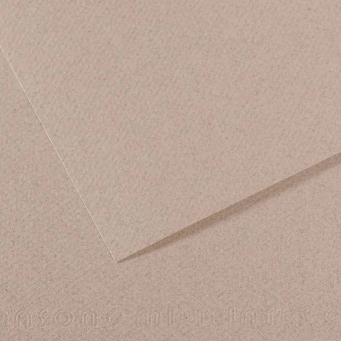 Canson Fon Kartonu (Dokulu) Mı-Teıntes Sh Canmt 50x65 160 GR Grey 426