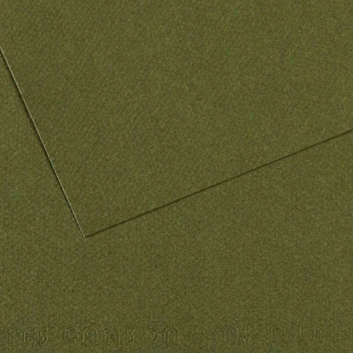 Canson Fon Kartonu (dokulu) Mı-teıntes Sh Canmt 50x65 160 Gr Grn 448