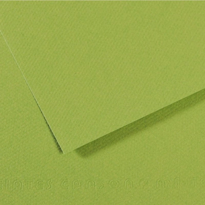 Canson Fon Kartonu (dokulu) Mı-teıntes Sh Canmt 50x65 160 Gr Grn 475