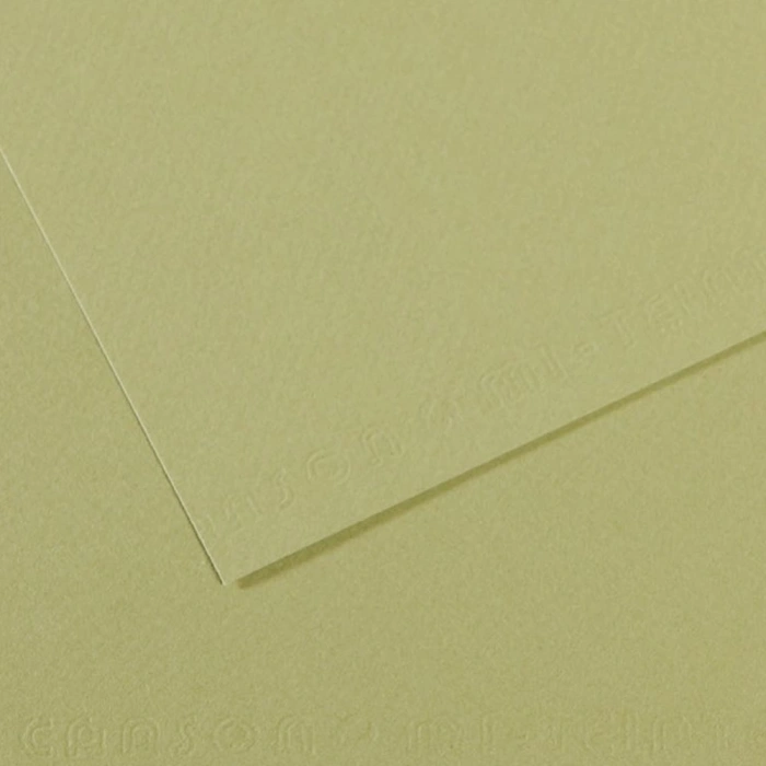 Canson Fon Kartonu (dokulu) Mı-teıntes Sh Canmt 50x65 160 Gr Grn 480