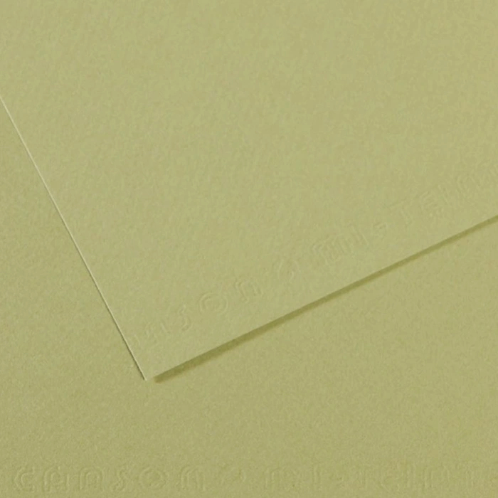 Canson Fon Kartonu (dokulu) Mı-teıntes Sh Canmt 50x65 160 Gr Grn 480