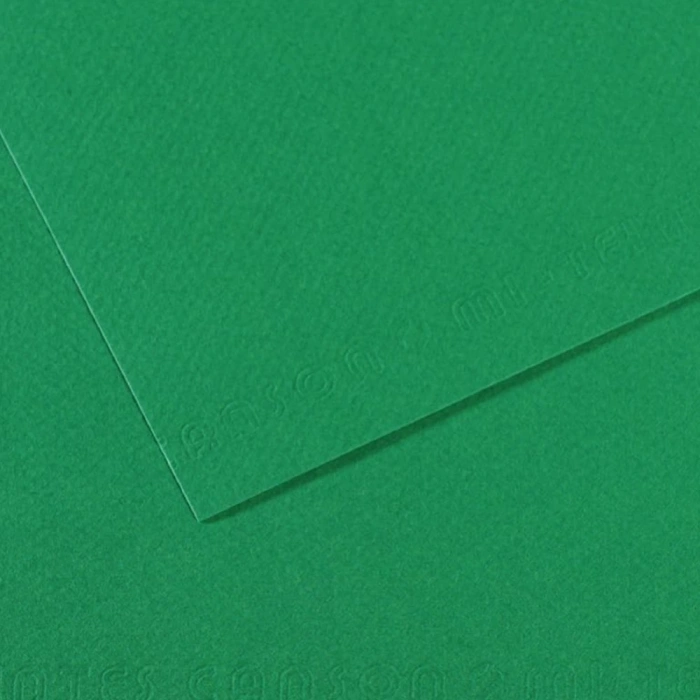 Canson Fon Kartonu (Dokulu) Mı-Teıntes Sh Canmt 50x65 160 GR Grn 575 31032S114
