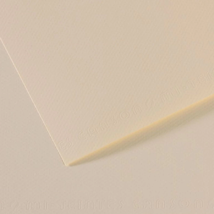Canson Fon Kartonu (Dokulu) Mı-Teıntes Sh Canmt 50x65 160 GR Ylw 110