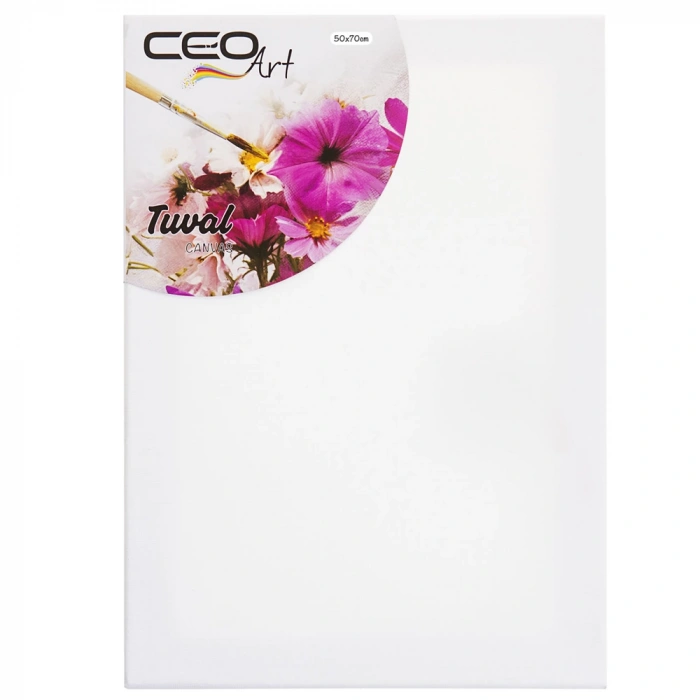 Ceo Art Çerçeveli Tuval 50x70 Düz CEO00012
