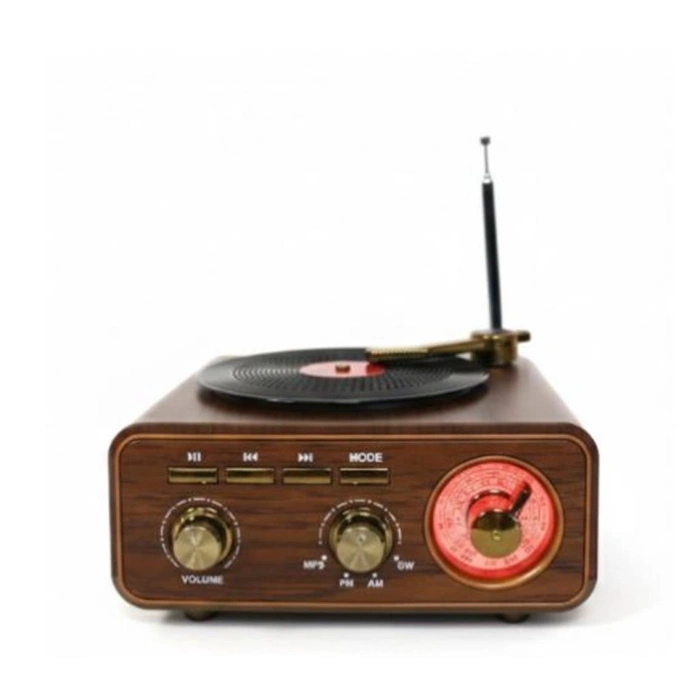 Everton Rt-1317bt  Bluetooth Usb-micro Plak Radyo