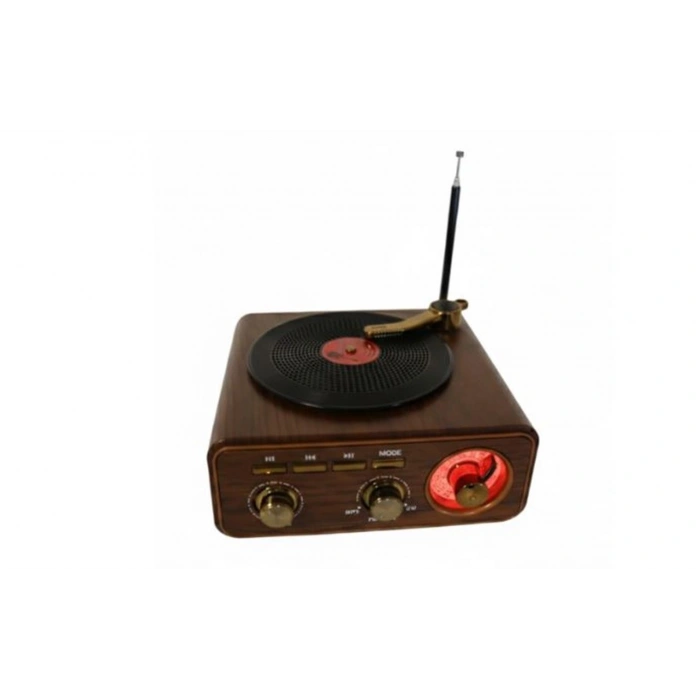 Everton Rt-1317bt  Bluetooth Usb-micro Plak Radyo