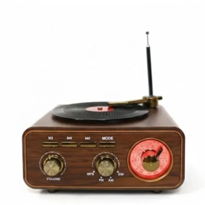 Everton Rt-1317bt Bluetooth Usb-micro Plak Radyo