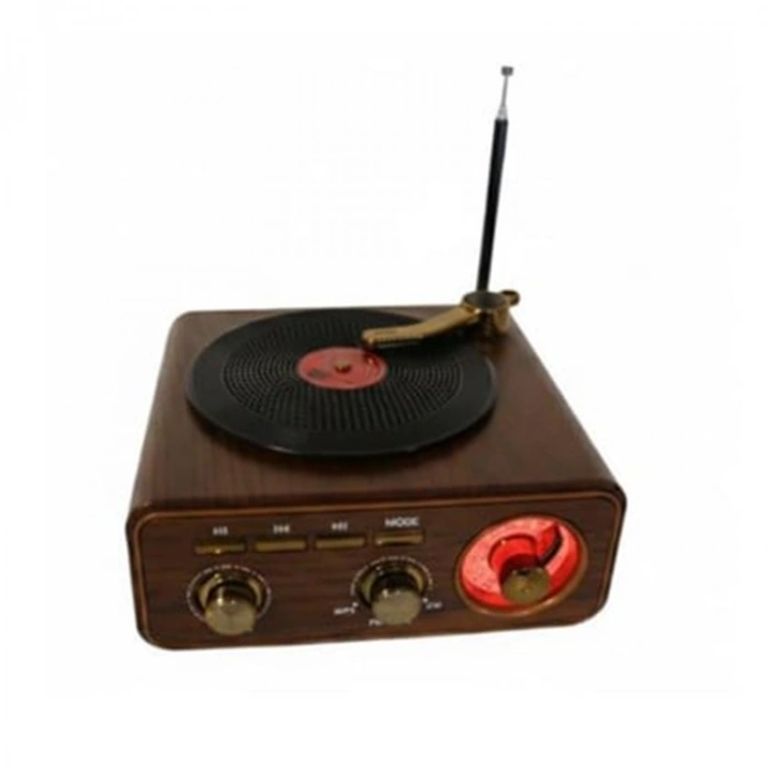 Everton Rt-1317bt Bluetooth Usb-micro Plak Radyo