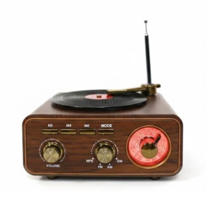 Everton Rt-1317bt Bluetooth Usb-micro Plak Radyo