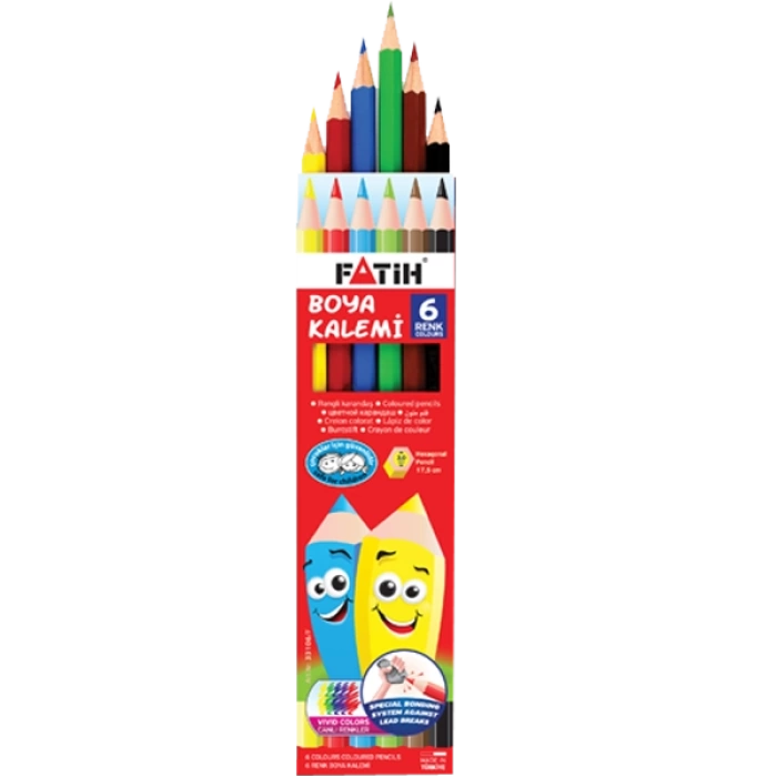 Fatih Kuru Boya Karton Kutu Tam Boy 6 Renk 33106