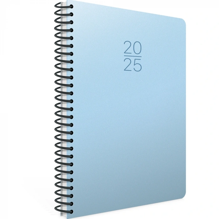 Gıpta Ajanda Günlük Ekonomik Spiralli 17x24 407-sek