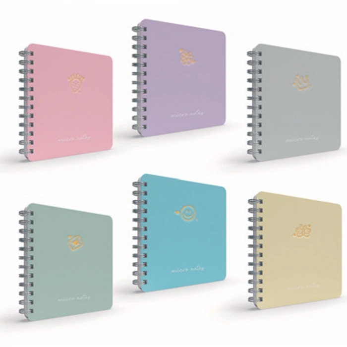 Gıpta Mıcro Notes Spiralli Sert Kapak Defter 17x24 100 Yp Çizgili