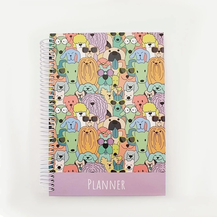 Liz Ayraçlı Planner 12x17 AJT02
