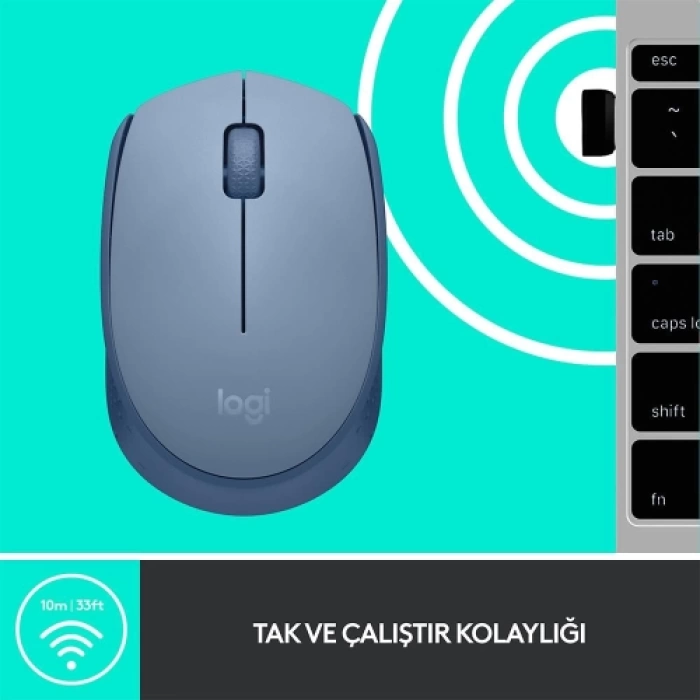 LOGITECH 910-006866, M171 BlueGrey, USB Nano 2,4G Kablosuz, 1000dpi, Optik, 3 Tuşlu, 12ay Pil Ömrü, Mouse