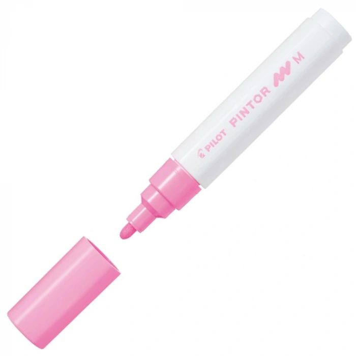 Pilot Pintor (m) Pembe Sw-pt-m-p