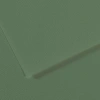 Canson Fon Kartonu (Dokulu) Mı-Teıntes Sh Canmt 50x65 160 GR Grn 190
