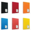 Çınar Colormaxi Spiralli Defter Plastik Kapak 17x24 96 YP Çizgili 96/1