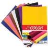Colorbank A4 Keçe Renkli 10 Lu Ck-003