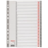 Esselte Seperatör 1-31 Rakamlı Plastik A4 100108
