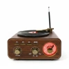 Everton Rt-1317bt Bluetooth Usb-micro Plak Radyo