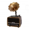 Everton Rt-601 Gramafonlu Bluetooth Fm-usb-tf-aux  Şarjlı Nostaljik Radyo