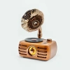 Everton Rt-704 Gramafonlu Bluetooth Fm-usb-tf-aux Şarjlı Nostaljik Radyo