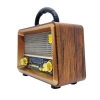 Everton RT-817 Nostaljik Radyo
