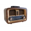 Everton Rt-876 Bluetooth Fm-usb-tf-aux Şarjlı Nostaljik Radyo