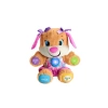 Fisher Price Eğitici Köpekçiğin Kız Kardeşi (Tr) FPP83