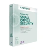 Kaspersky Small Office Security 10pc+10md+1fs 1 Yıl