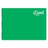 Keskin Color Resim Defteri Spiralli Plastik Kapak Cool 25x 35 15 Yp. 306121-99