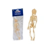 Misyon Plastik İskelet Ec-27 Msy-5647
