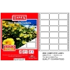 Tanex Sürekli Form Etiket 2000 Lİ 35x55