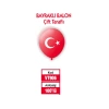 Vatan Balon Ayyıldız Baskılı 100 Lü Vt906