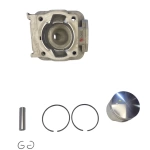 Adige Silindir Piston Takımı 44 Mm Çim Modelleri İçin