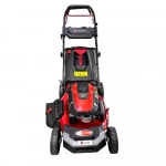 Dakkin LC1P70FC Benzinli Çim Biçme Makinesi Şanzımanlı