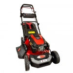 Dakkin LC1P70FC Benzinli Çim Biçme Makinesi Şanzımanlı