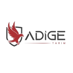 Adige Kağıt Hava Filtresi (Oleomac 453 - 753 - 755 )