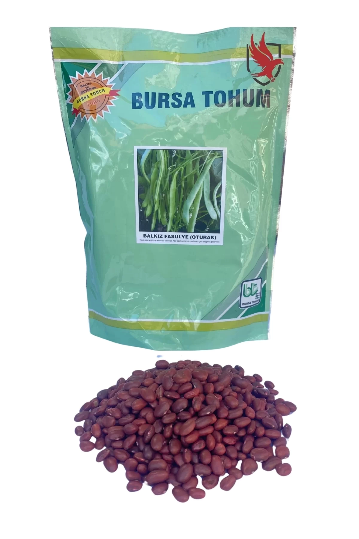 Bursa Tohum Balkız Fasulye Tohumu (Oturak) 250 Gr