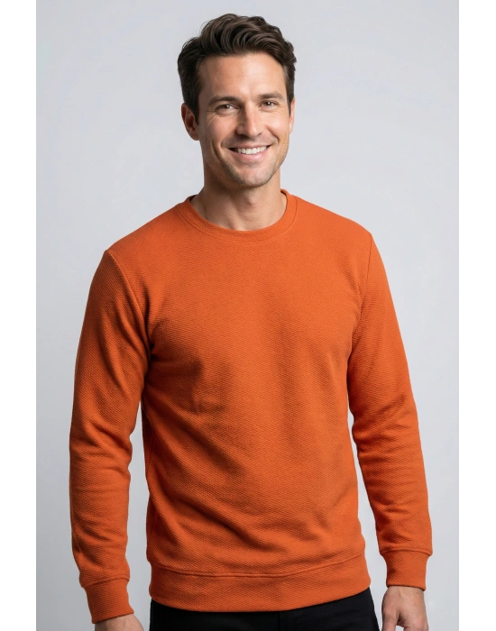 Çakıl Kumaş Düz Sıfır Yaka Erkek Sweatshirt