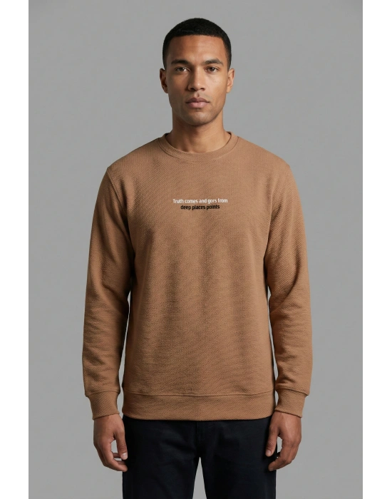 Çakıl Kumaş Rabır Baskı Sıfır Yaka Erkek Sweatshirt