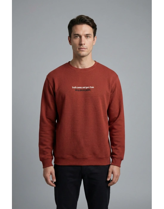 Çakıl Kumaş Rabır Baskı Sıfır Yaka Erkek Sweatshirt