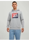 Logo Baskılı Kapüşonlu Erkek Sweatshirt